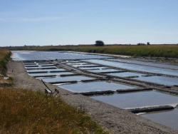 Marais salants (c) CA17