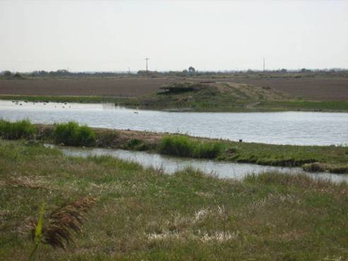 Tonne de chasse (c) CA17